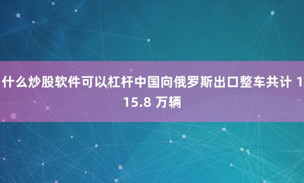 什么炒股软件可以杠杆中国向俄罗斯出口整车共计 115.8 万辆