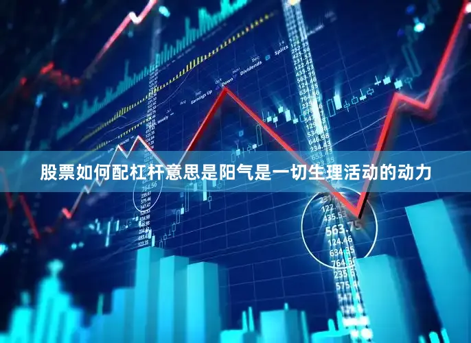 股票如何配杠杆意思是阳气是一切生理活动的动力