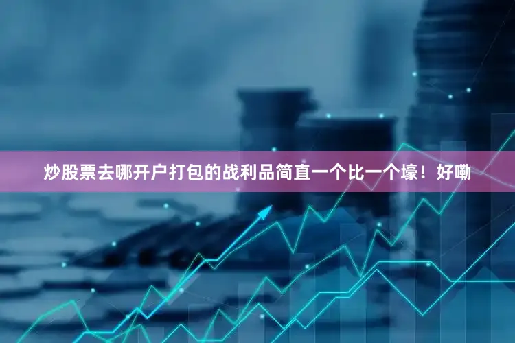 炒股票去哪开户打包的战利品简直一个比一个壕！好嘞
