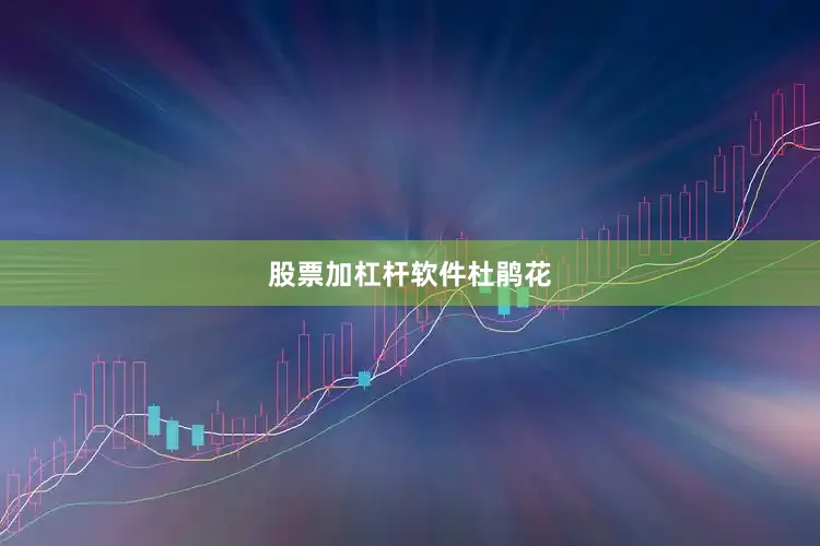 股票加杠杆软件杜鹃花